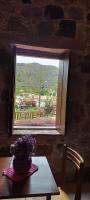 Villa with Garden View