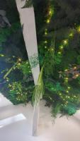 Le Green : Studio centre-ville*proche gare*parking - B&B