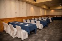 Holiday Inn La Piedad, an IHG Hotel