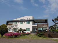 Moon Forest Guesthouse - B&B Jeju City