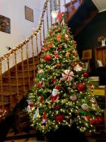 Sojolidays - Appartements d'hôtes sur la Route des Vins d'Alsace - B&B Rorschwihr