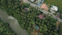 Paddyfield Inn - B&B