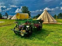 Carul cu Stele-Glamping - Bed and Breakfast Românești