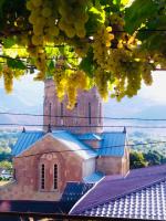 garden and panorama - B&B Mtskheta