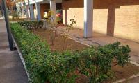 La Casa di Barbanella - Bed and Breakfast
