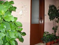 Guest House Roza - B&B