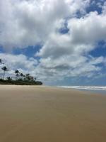 Beach House 44 - B&B