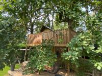 Kabana - eco forest suite - B&B Wingene