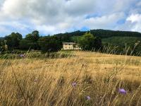 Il Borrino - Chambres d’hôtes Gavinana