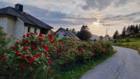 Feriehus Voldstad - Bed and Breakfast Svoda