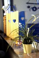 Bungalow Windsbraut - Ferienwohnung Norddeich