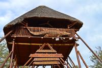 Bona Ngwenya Lodge & Safaris - B&B