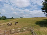 The Granary - B&B Blandford Forum