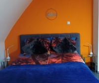 B&B Germersheim - FeWo Blaue Oase, Netflix, Massagesessel, Whirlpool Badewanne - Bed and Breakfast Germersheim