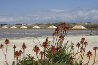 Papparina House - Bed and Breakfast Marsala