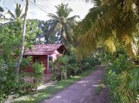 Thomasz House - B&B