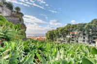 Villa Rosa, a Home in Madeira - B&B Funchal