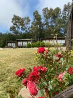 Bungalow - Côté Plage