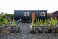 B&B Rathcor Lower - Carlingford Glamping Hut - Bed and Breakfast Rathcor Lower