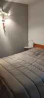 Bel appartement Saint Lary Vignec - Ferienwohnung Vignec