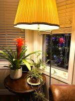 Lovely comfy home private bath in central Calgary - Ferienwohnung Calgary