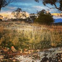 Art Shack @ Wilgabah - B&B Wallabadah