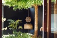 One-Bedroom Villa - Zen
