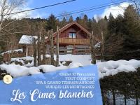 B&B La Bresse - LES CIMES BLANCHES CLEDICIHOME Chalet 10 pers SPA & Grand terrain 4 MINUTES DES PISTES - Bed and Breakfast La Bresse