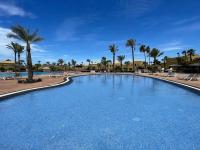 The Little Palm - B&B