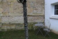 Maison au calme 2 chambres centre de Caen - B&B Caen