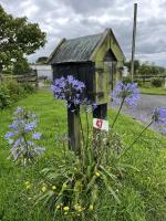Rainbow Mountain cottage - B&B Distretto di Rotorua