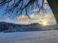 Agroturystyka Leśna Wyspa - B&B Kaliska