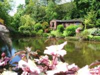 B&B Llandysul - Y Caban at Wig Farm near Llangrannog - Bed and Breakfast Llandysul