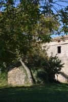 Villa Leopoldo by Istrian Country Houses - B&B Barat