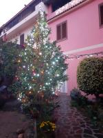 L'Agrifoglio di Emy - B&B