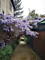 Cabaña y habitación Playera cómoda y central - B&B Viña del Mar