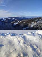 Feldbergsicht - Chambres d’hôtes Lenzkirch