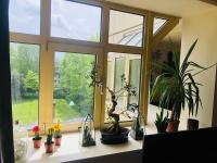 Beautiful 2 bed flat in Chelsea on King’s Road - B&B
