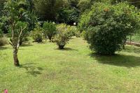 972B-Coin de verdure au pied de la Montagne Pelée - B&B Le Morne-Rouge