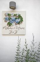 Il Giardino di Ortensia B&B - B&B Bientina