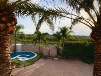 B&B Elx - 4-bedroom Villa with pool and barbacue - Bed and Breakfast Elx