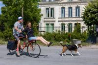 Le Domaine du Meunier - B&B
