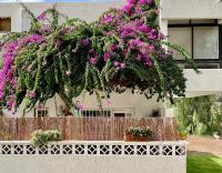 Casa Zoltan - Ferienwohnung Costa del Silencio