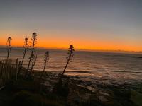 Tequila Sunset - B&B