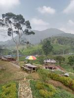 Gunung bangku ciwidey rancabali camp