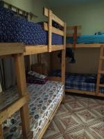 Bunk Bed in Mixed Dormitory Room