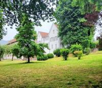 B&B Saint-Maurice-sur-Moselle - Domaine de la Moselle - Bed and Breakfast Saint-Maurice-sur-Moselle