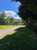 Cabañas Ruta Lacustre - Chambres d’hôtes