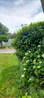 8 mins drive to the airport - Chambres d’hôtes Christchurch