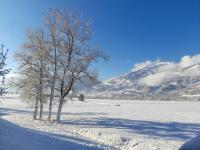 B&B Hart im Zillertal - Ferienwohnung Rose - Bed and Breakfast Hart im Zillertal